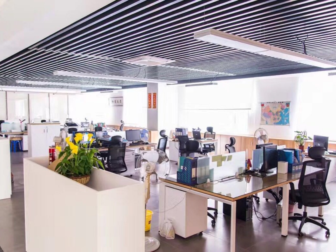 Office Area